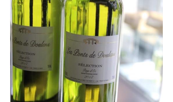 9 div flessen à 75cl witte wijn, wo Chardonnay, Côtes du Rhône,